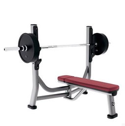 美國力健lifefitness sofb奧林匹克水平推舉椅 專業(yè)力量訓(xùn)練器材圖片,美國力健lifefitness sofb奧林匹克水平推舉椅 專業(yè)力量訓(xùn)練器材高清圖片 上海康丁健身器材常州分公司